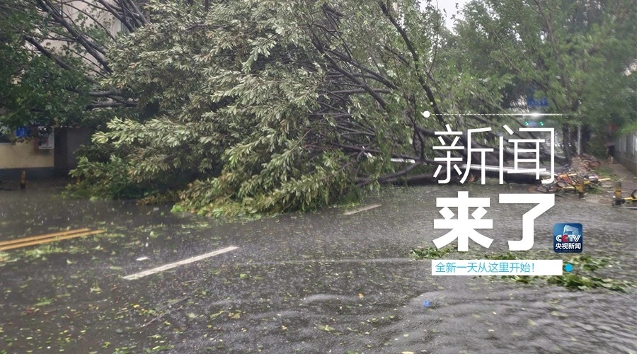 “山竹”怒過，高空塔吊你還好嗎？